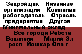 Закройщик › Название организации ­ Компания-работодатель › Отрасль предприятия ­ Другое › Минимальный оклад ­ 8 000 - Все города Работа » Вакансии   . Марий Эл респ.,Йошкар-Ола г.